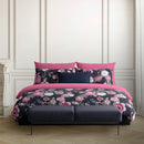 Eclat Nocturne - Taie D'Oreiller - Satin De Coton - Rose