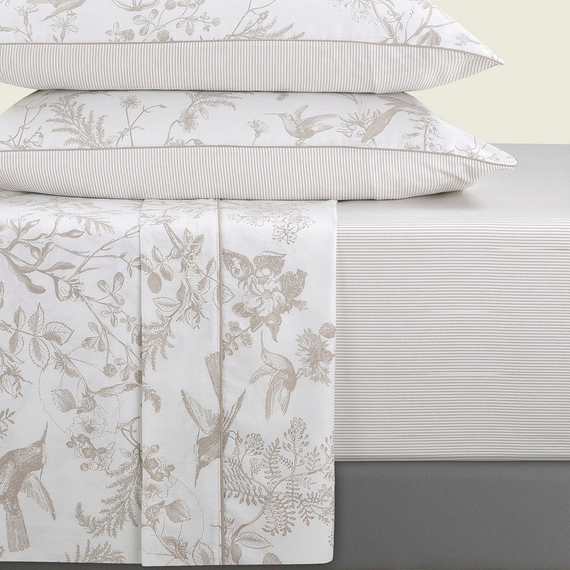 Colibri Floral - Drap-Housse - Satin De Coton - Taupe