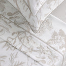 Colibri Floral - Drap Plat - Satin De Coton - Taupe
