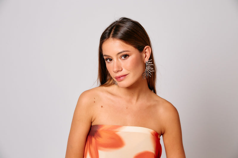 Ramas Plata Earrings