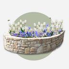 Mix Of 125 Blue Spring Bulbs – Outdoor Plant