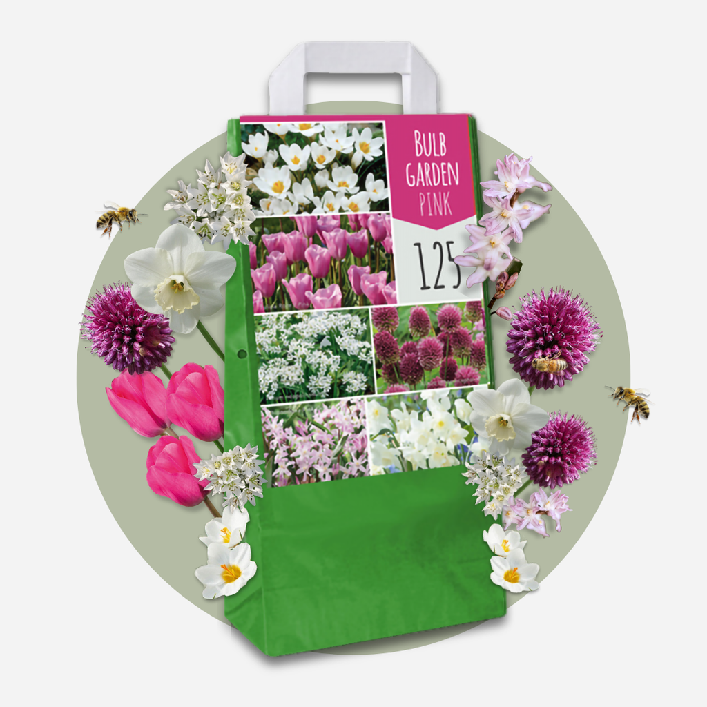 Mix of 125 Spring Bulbs – Outdoor Plant