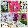 Mix of 125 Spring Bulbs – Outdoor Plant