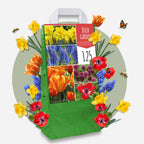 Mezcla de 125 bulbos Colourful – Planta de exterior