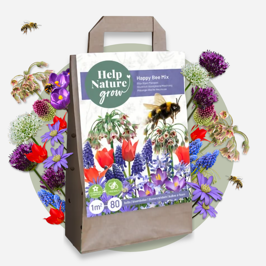 Mezcla de 80 bulbos Happy Bee – Planta de exterior