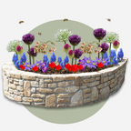 Mezcla de 80 bulbos Happy Bee – Planta de exterior