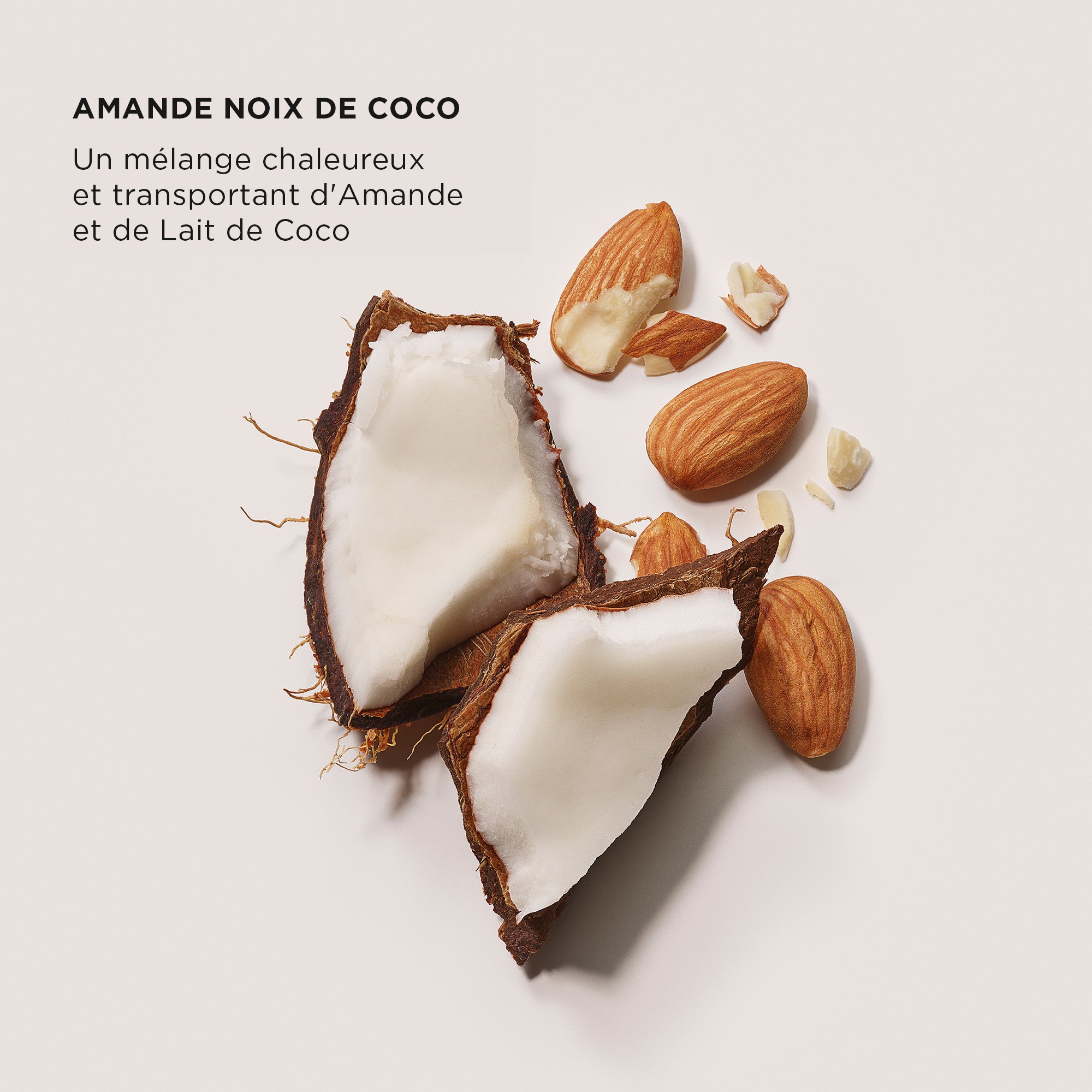 The Daydreamer's Indulgence - Luxe Indulgence Set Duo - Almond Coconut