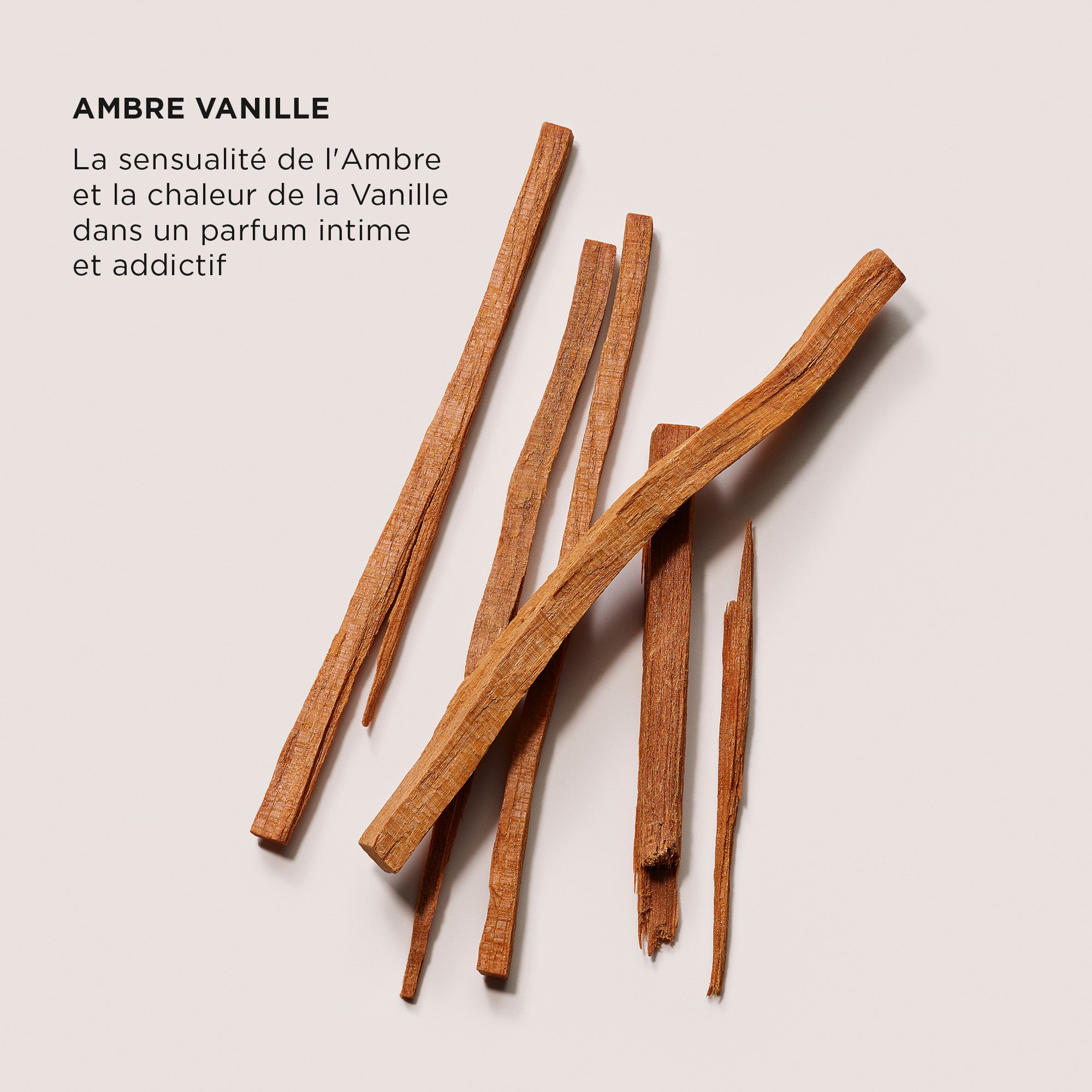 The Daydreamer's Indulgence - Luxe Indulgence Set Duo - Amber Vanilla