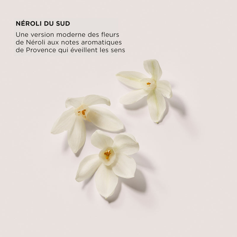 The Daydreamer's Indulgence - Dúo de set Luxe Indulgence - Neroli del Sur