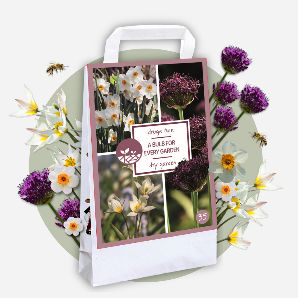 Mélange De 35 Bulbes Jardin Sec – Plante D'Extérieur