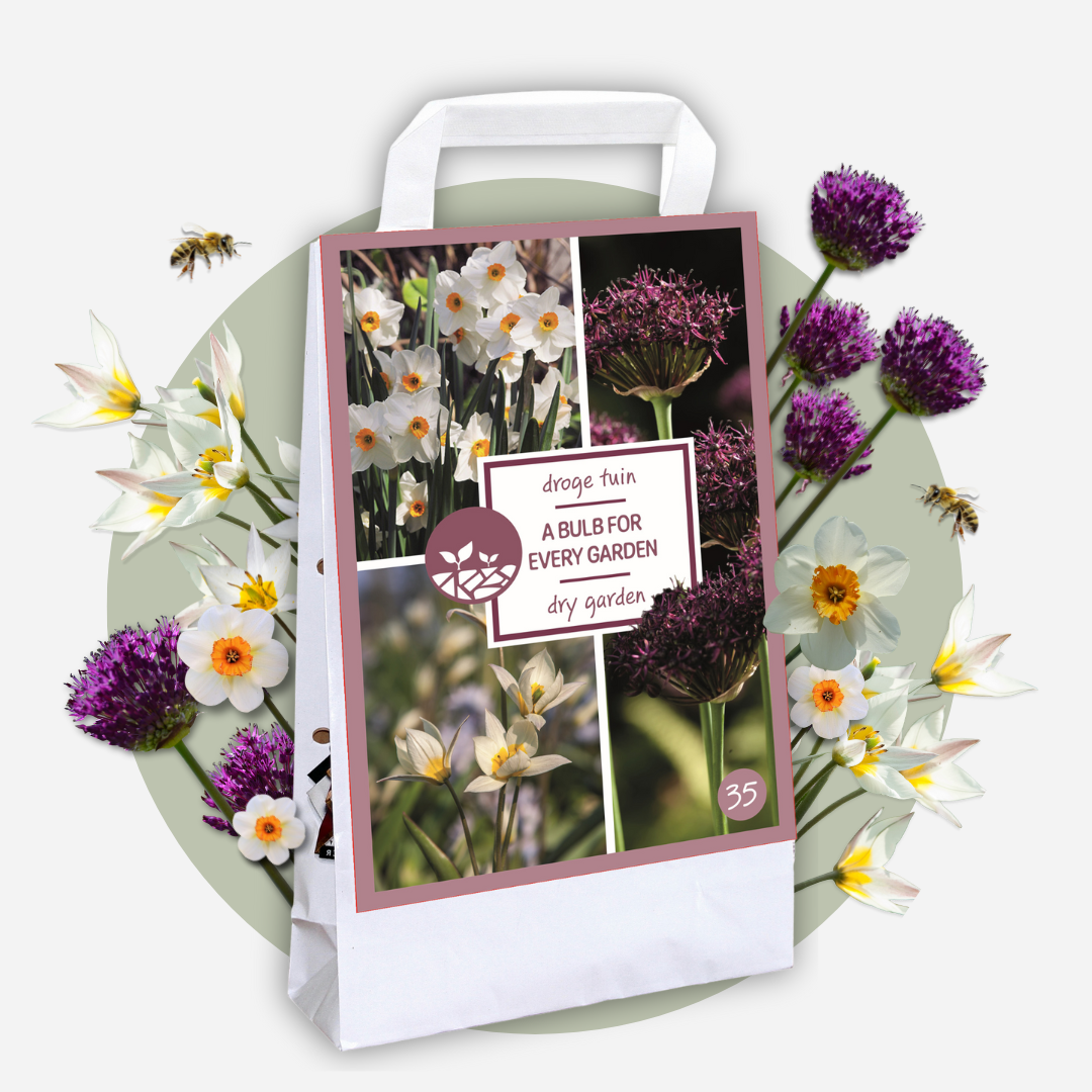 Mélange De 35 Bulbes Jardin Sec – Plante D'Extérieur