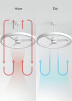 Wind Halo - Ventilador De Techo Silencioso 36W Ø108Cm Con Aro De Luz LED