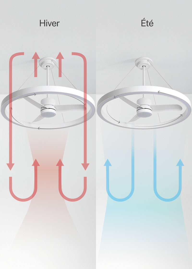 Wind Halo - Ventilateur De Plafond 36W Silencieux Ø108cm Avec Anneau Lumineux LED