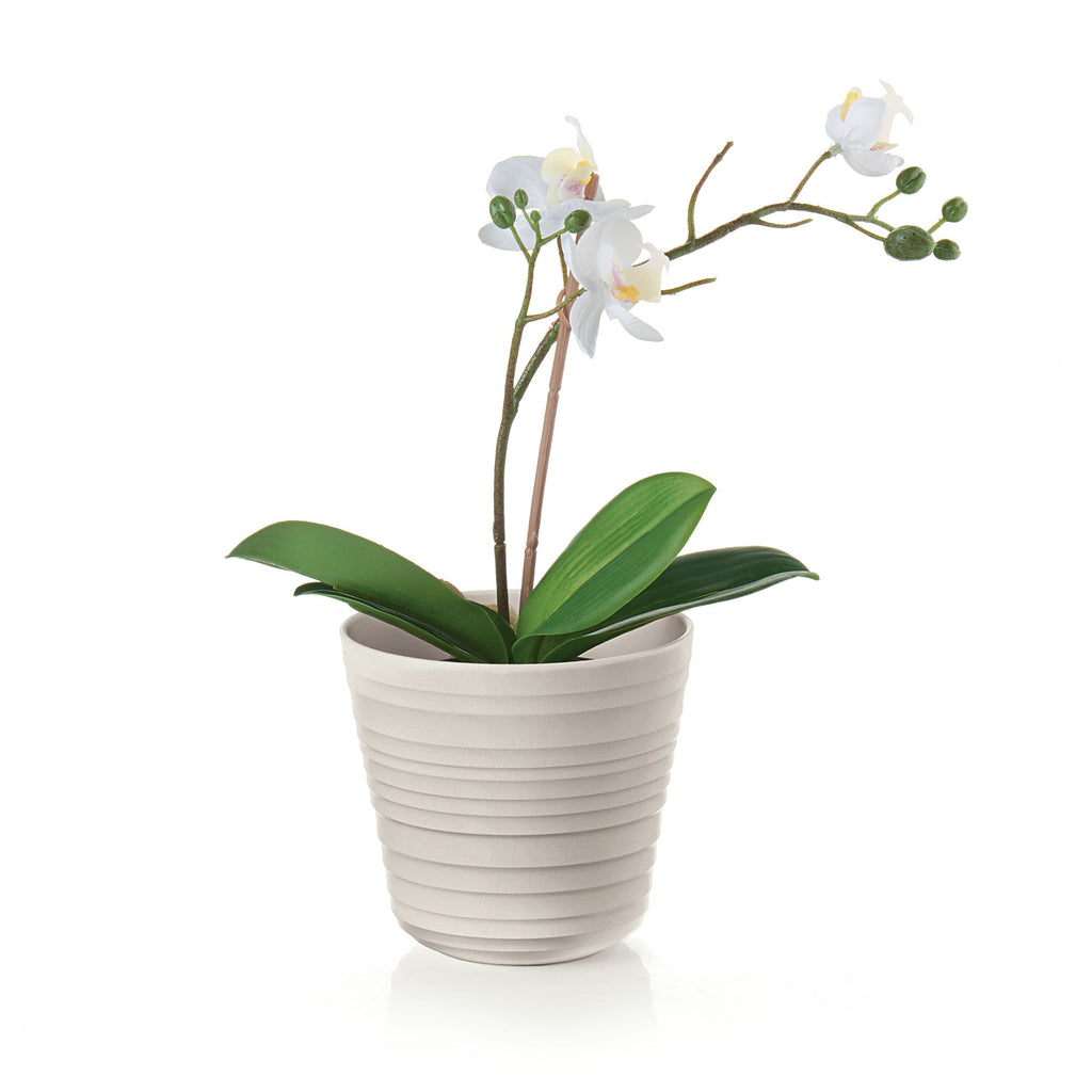 Tierra - Plant Pot