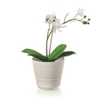 Tierra - Plant Pot