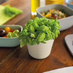 Tierra - Plant Pot