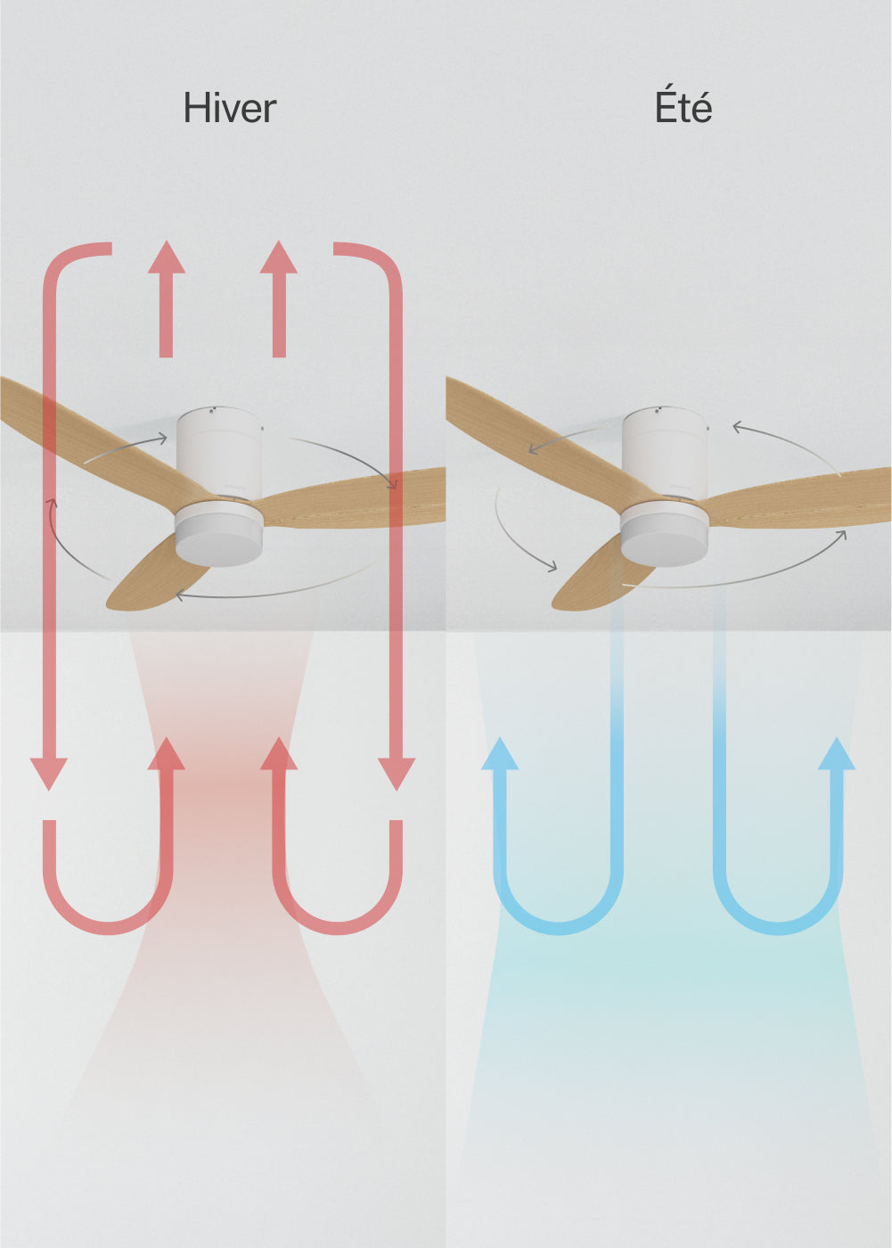 Wind Lite M - Ventilador De Techo Silencioso Para Interior & Exterior - Con Luz & Controlador De Pared - Blanco & Madera Clara