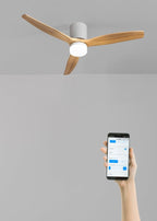 Wind Calm Concrete - Ventilador De Techo 40W Silencioso Ø132Cm 100% Madera Con Carcasa De Yeso Personalizable - Blanco# Gypsum Madera Natural# Con Luz# Wifi# Wood