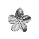 Flor Plata Ring