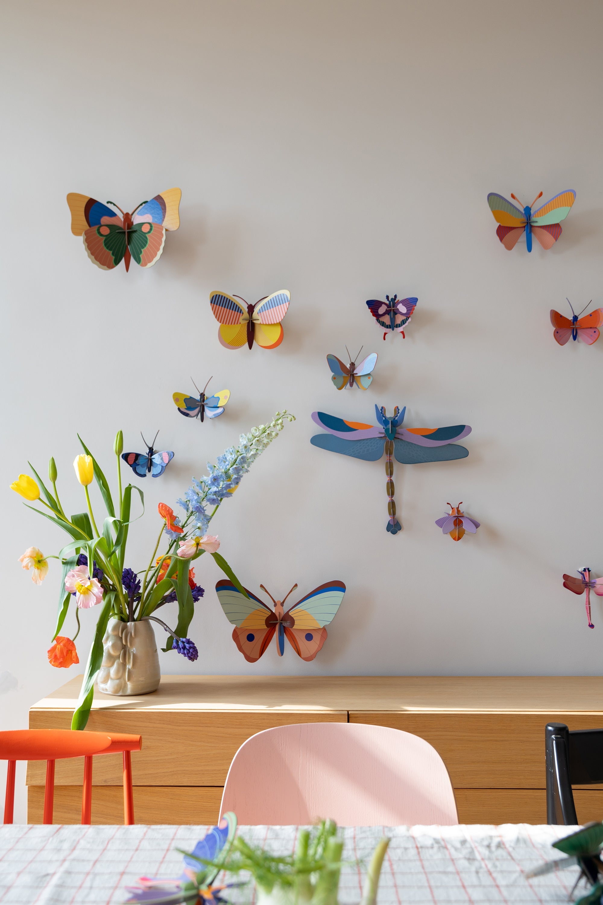 Acacia Butterfly