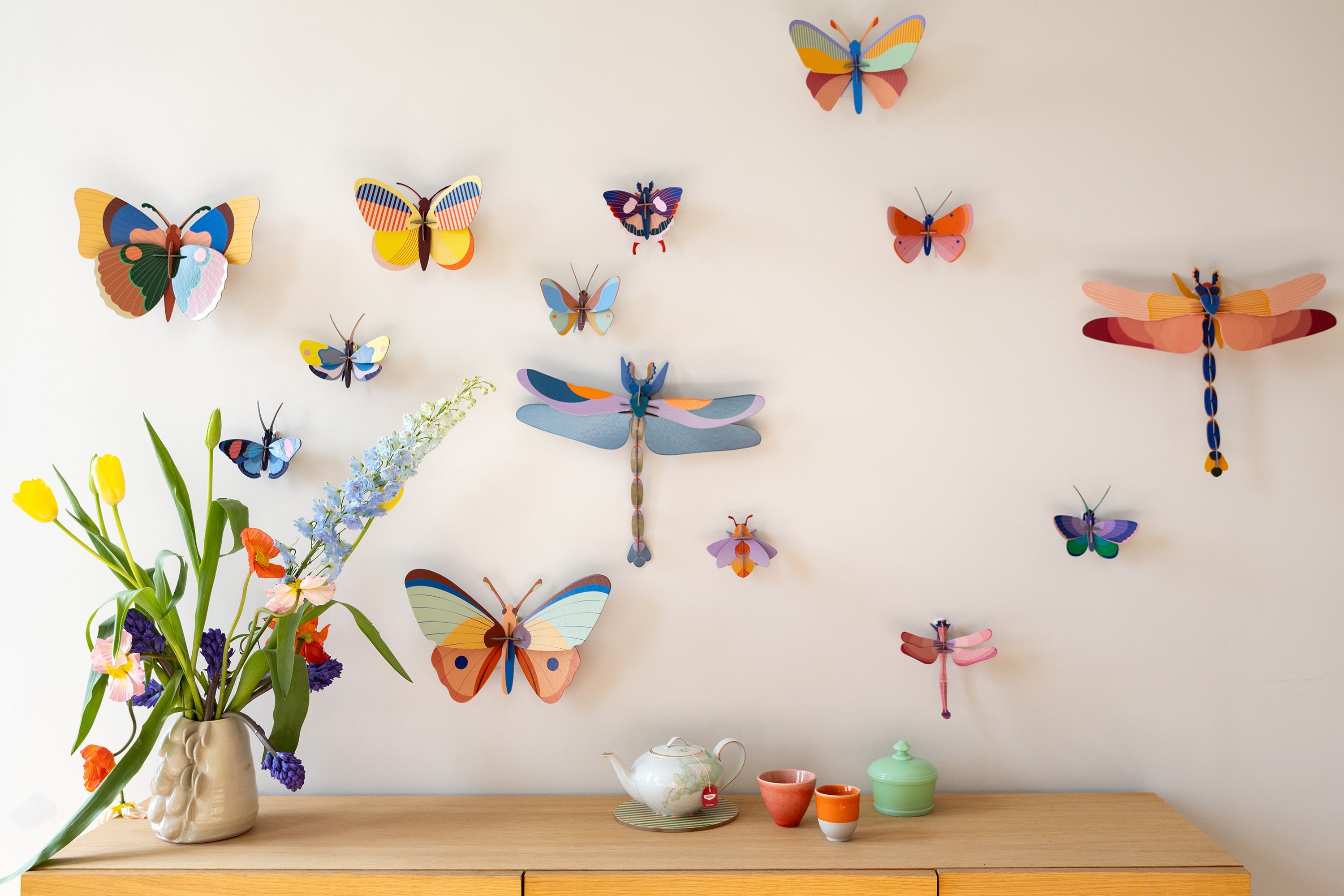 Acacia Butterfly