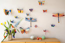 Acacia Butterfly