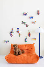 Acacia Butterfly