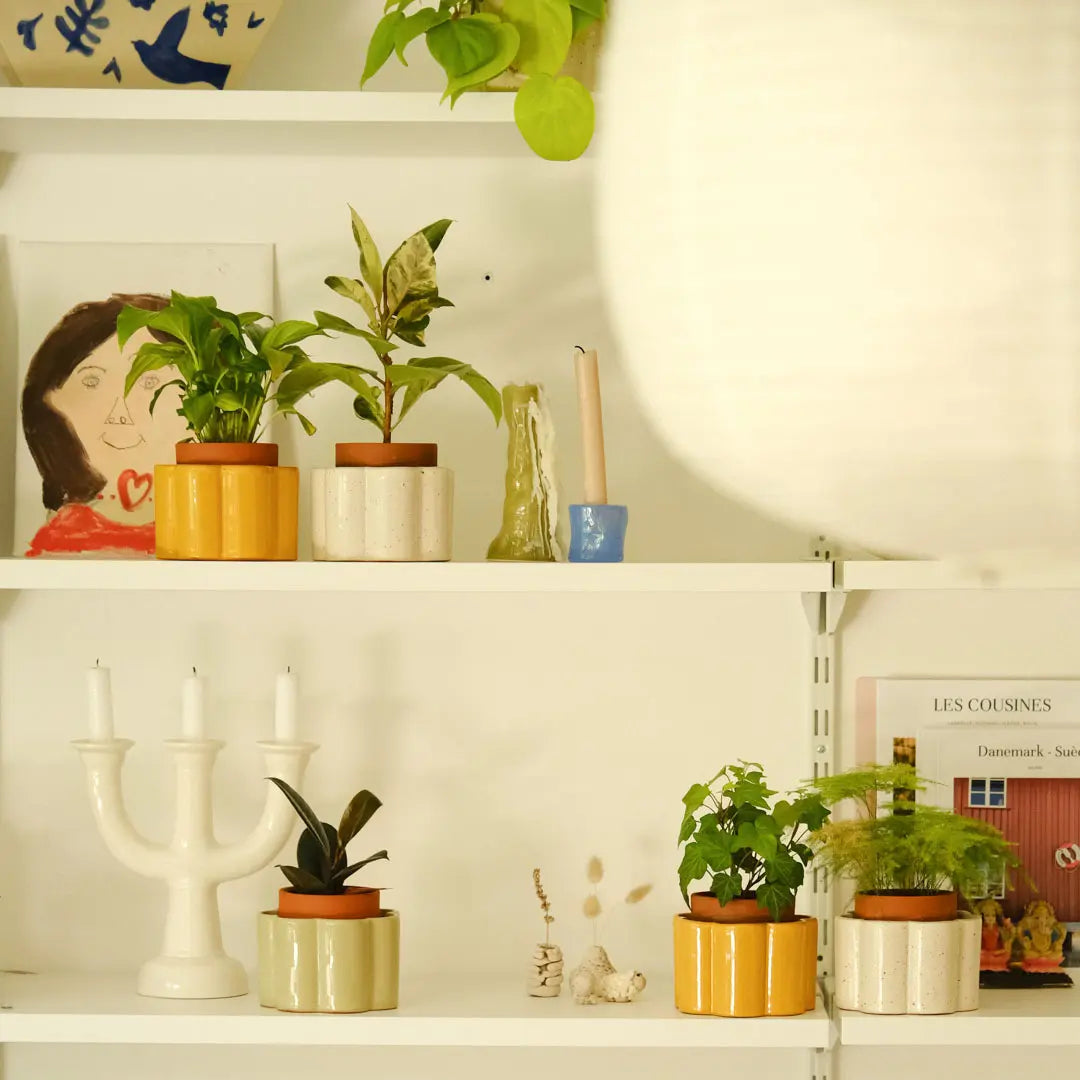 Pot Autonome Paulita - Jaune Moutarde