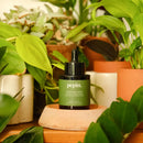 suero nutritivo plantas verdes pepina