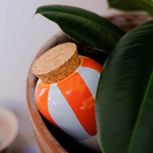 Olla - Rayé Orange Et Bleu