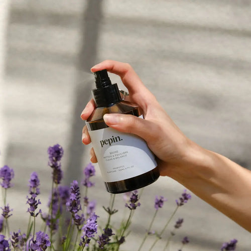 brume nettoyante plante d interieur pepin