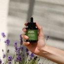 suero nutritivo para plantas verdes pepina