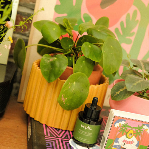 Pot Autonome Paula - Jaune Moutarde