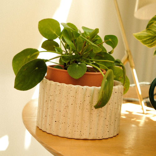 Pot Autonome Paula - Blanc Grainé