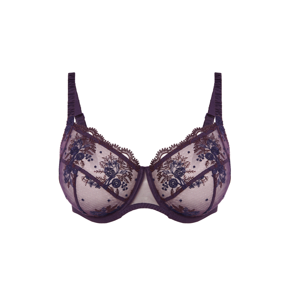 Intrigue Bras - Fig
