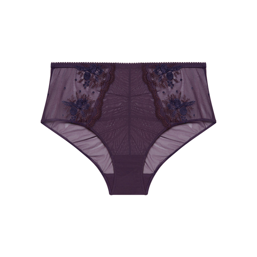 Intrigue Briefs - Fig