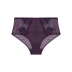 Intrigue Briefs - Fig