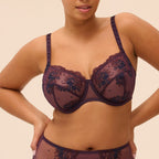 Intrigue Bras - Fig