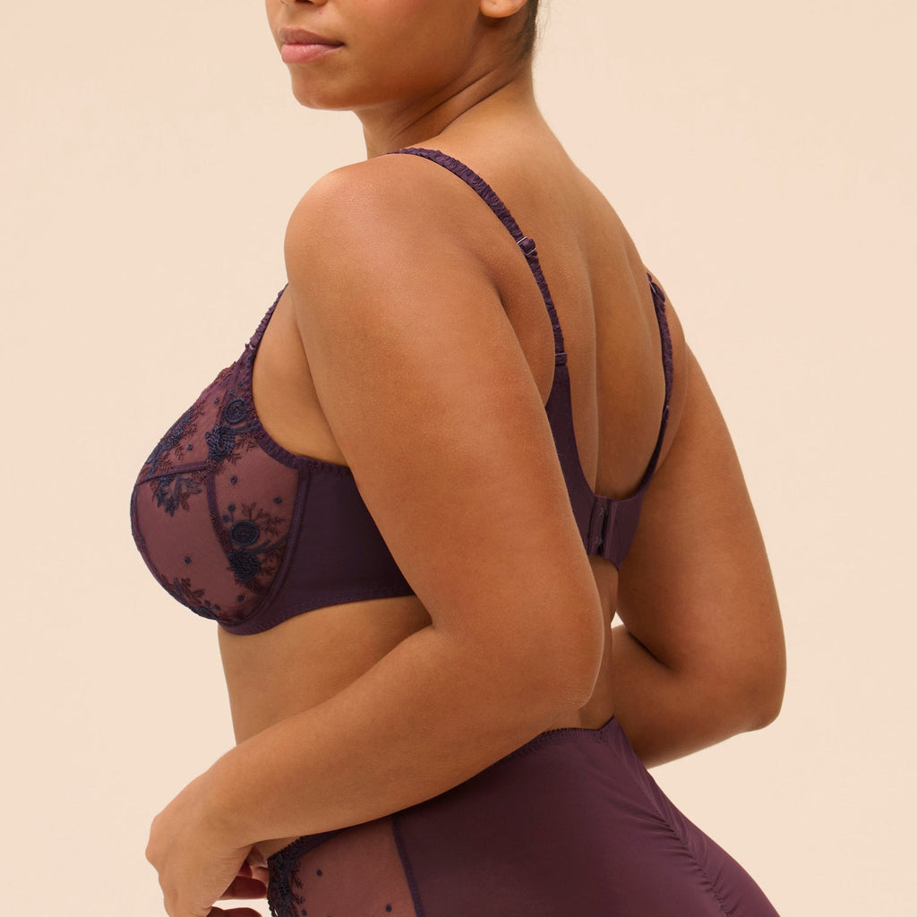 Intrigue Bras - Fig