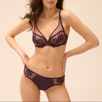 Intrigue Briefs - Fig