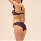 Intrigue Briefs - Fig