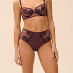 Intrigue Briefs - Fig
