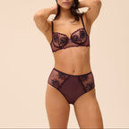 Intrigue Briefs - Fig
