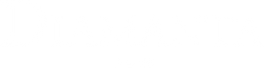 Logo diamante