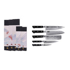 Collection Hashi Damas - Set Complet 5 Couteaux