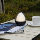 Wireless Table Lamp - Ovie