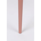 Pip - Set of 2 Chairs - Resin & Metal - Pink