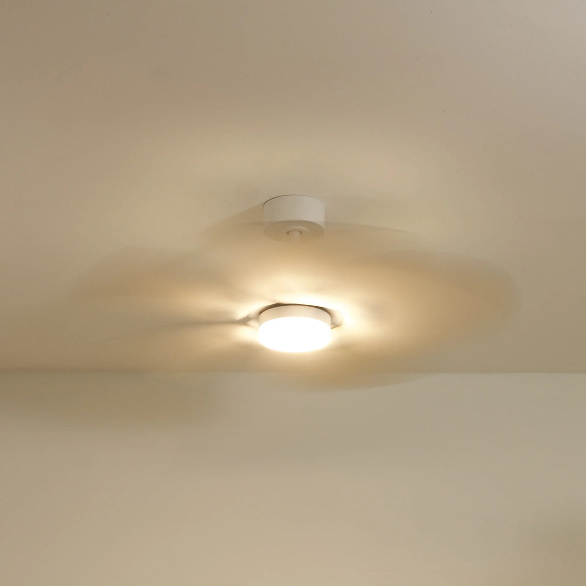 Dahlia | Ventilateur De Plafond – Ø 109 Cm