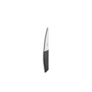 Cuchillo para carne Evolution - 12 cm - Negro