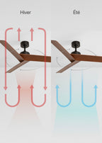 Wind Sharp - Ventilateur De Plafond 40W Silencieux - Noir/Bois Foncé